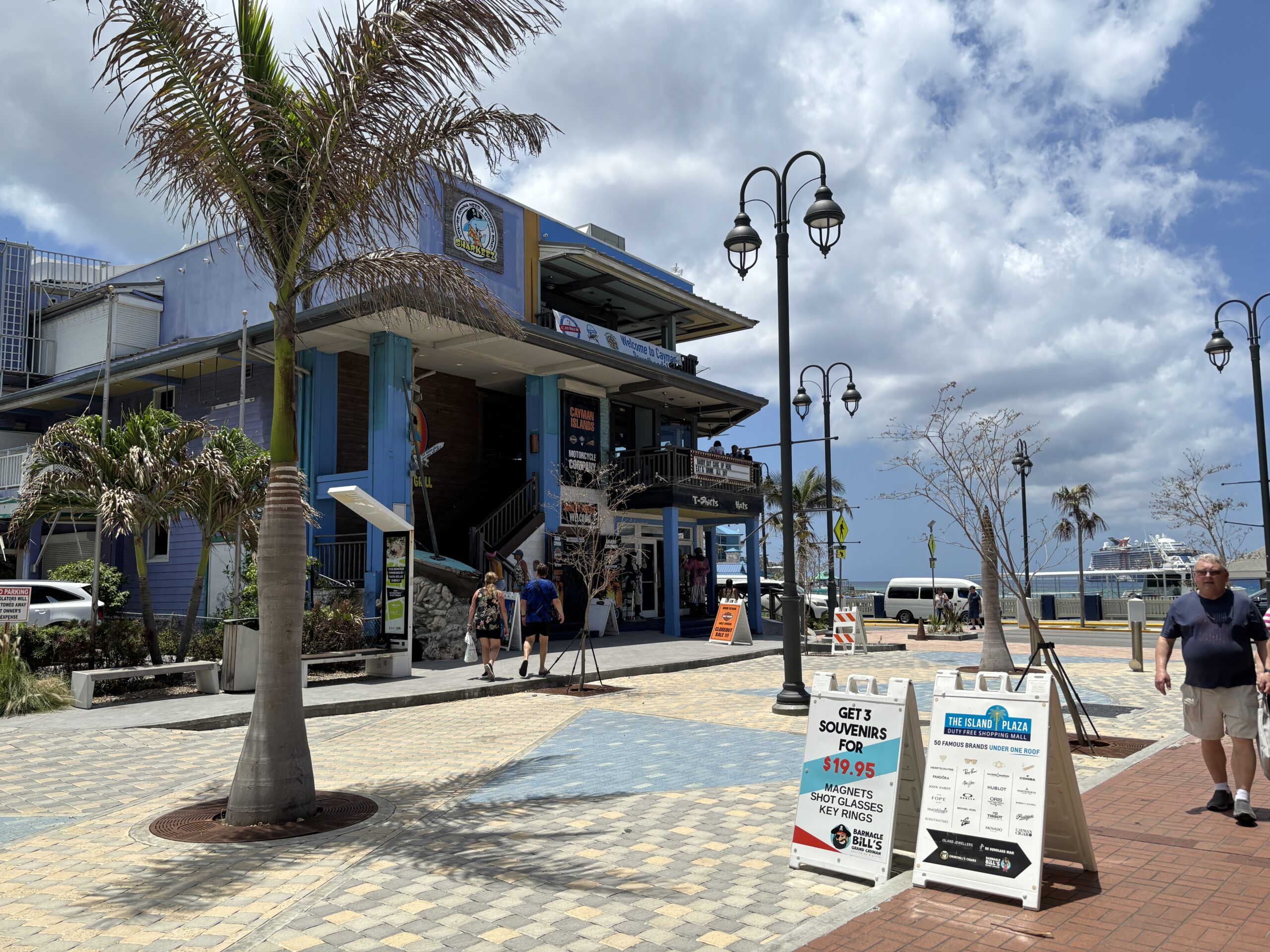 Colorful Caribbean street with shops, palm trees, and a coastal backdrop.