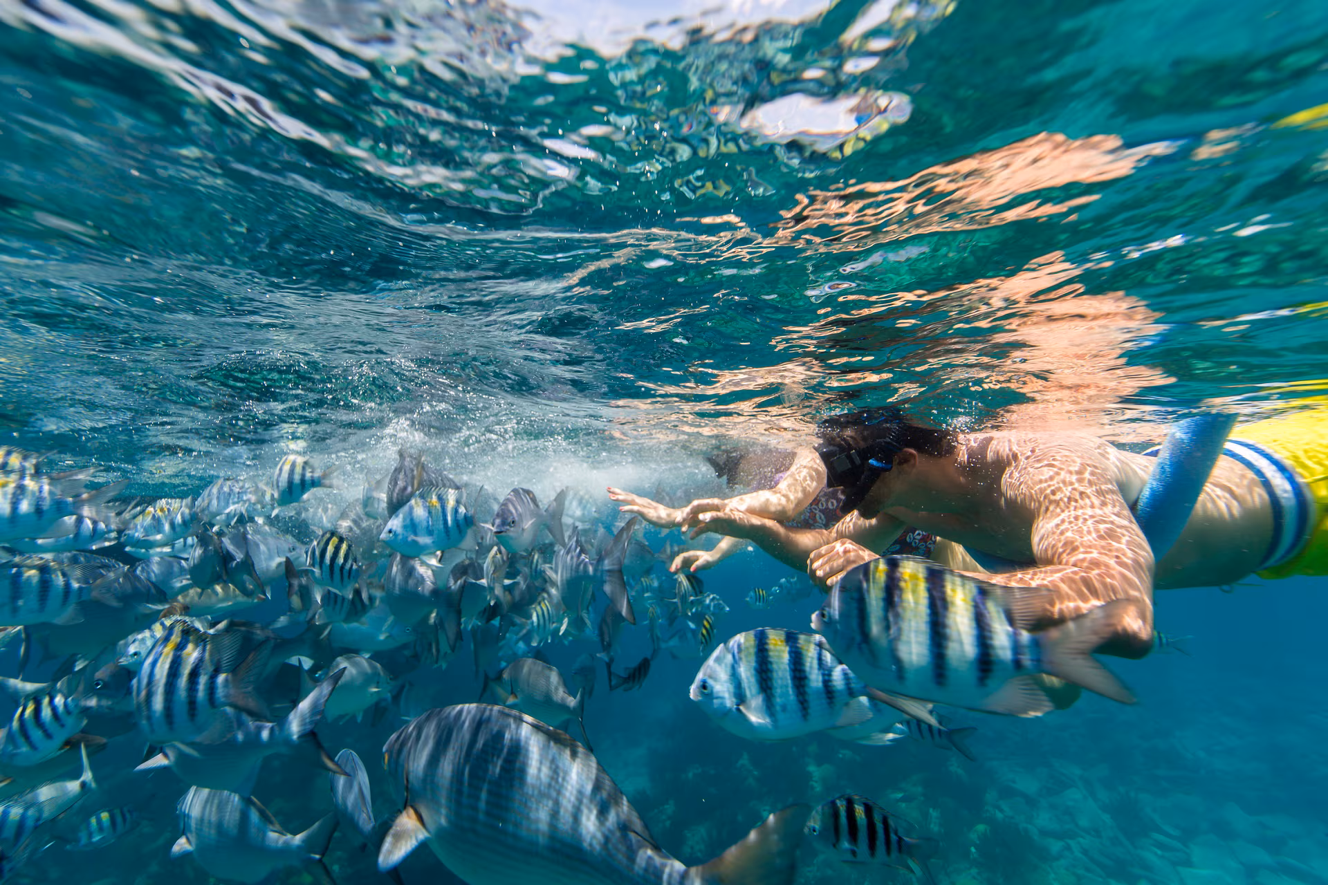 Snorkeling in Bermuda near a shallow shipwreck during an overnight cruise stay